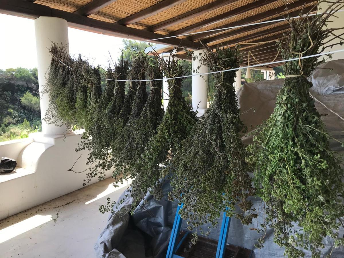 B&B Al Salvatore Di Lipari Экстерьер фото